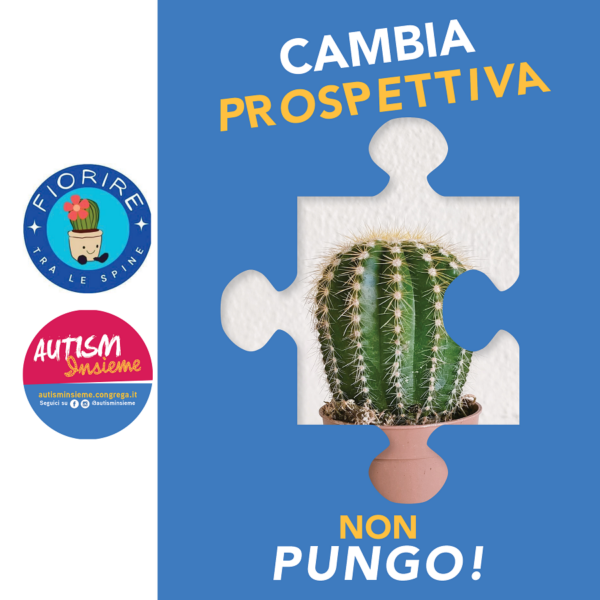 Il cactus di "Fiorire tra le spine"